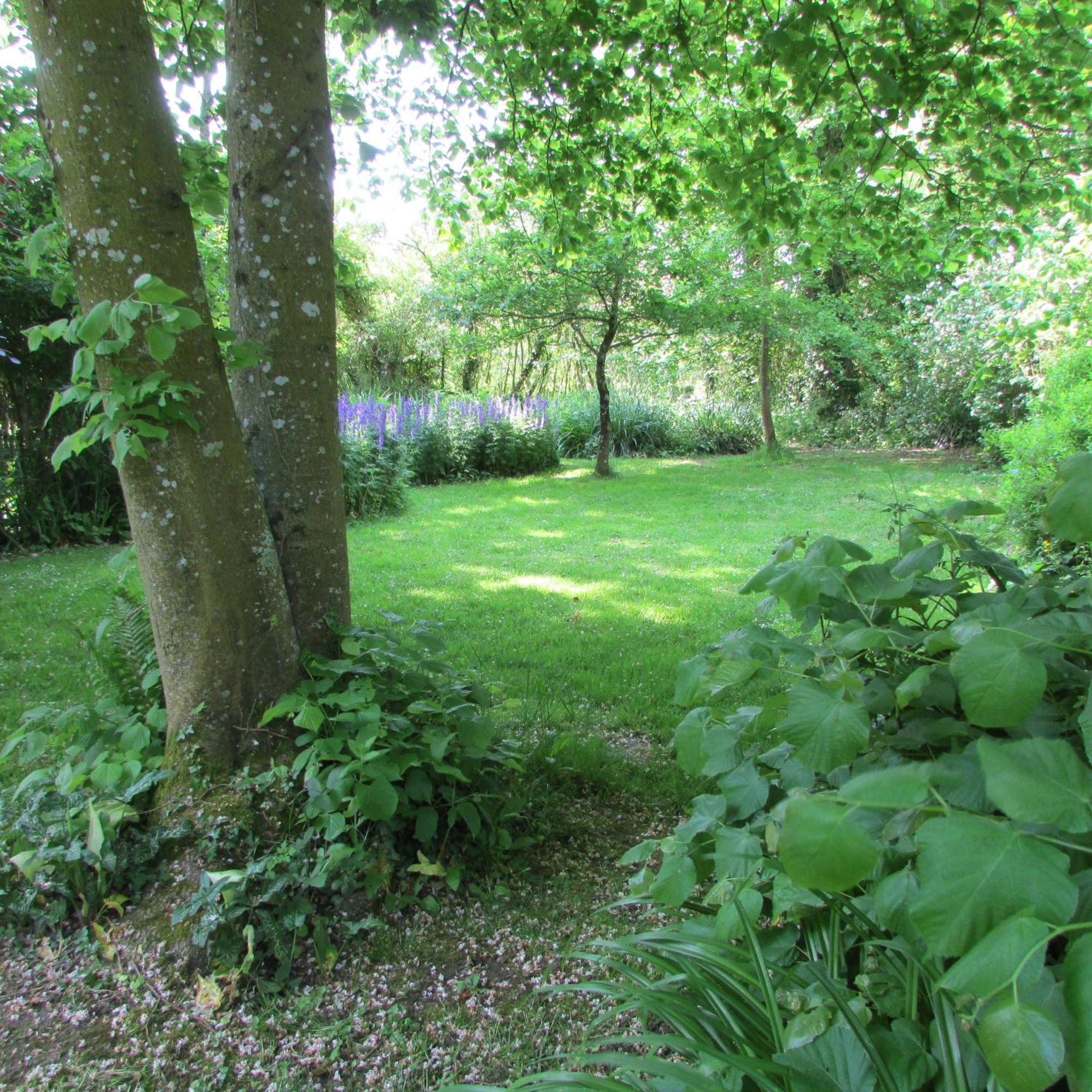 Gite Manoir Les Camps Greslins Questrecques Exterior photo