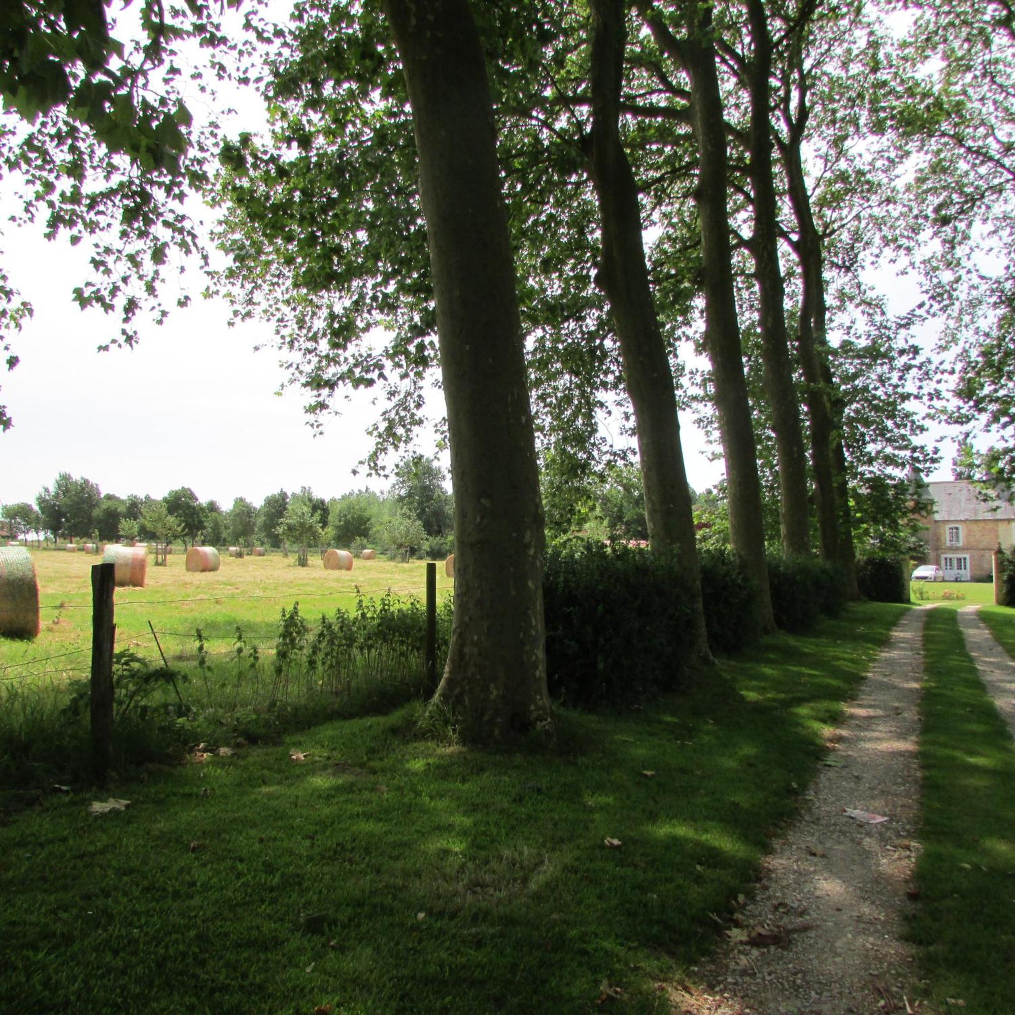 Gite Manoir Les Camps Greslins Questrecques Exterior photo